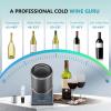 imageEUHOMY Wine Chiller Electric Portable Wine Bottle Chiller for 750ml Wine ampamp Champagne Single Bottle Wine Cooler on Patio Keep Cold Up to 1 Day  Extra Surprise for Wine LoversGray
