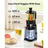 imageJuicer Machines EUHOMY 58quot Wide Feed Chute Cold Press Juicer for Whole Vegetables ampamp Fruits with 400W High Juice Yield Easy to clean Black Stainless Steel